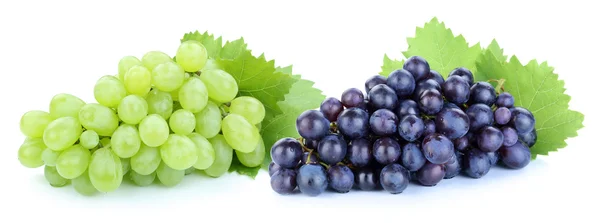 Modré hrozny zelené ovoce ovoce izolované na bílém — Stock fotografie