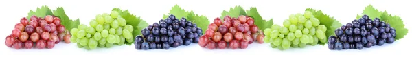 Grapes in a row fruits fruit isolated on white — Stock Photo, Image