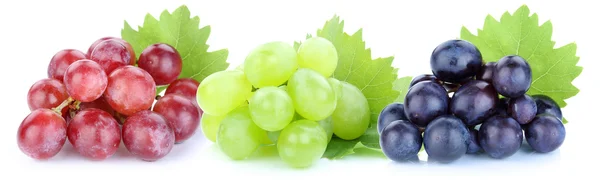 Raisin rouge bleu vert fruits isolés sur blanc — Photo