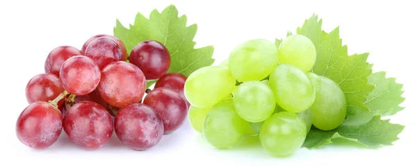 Raisin fruits verts rouges isolés sur blanc — Photo