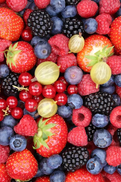 Frutti di bosco frutta fresca bacche raccolta fragole, mirtillo rosso — Foto Stock