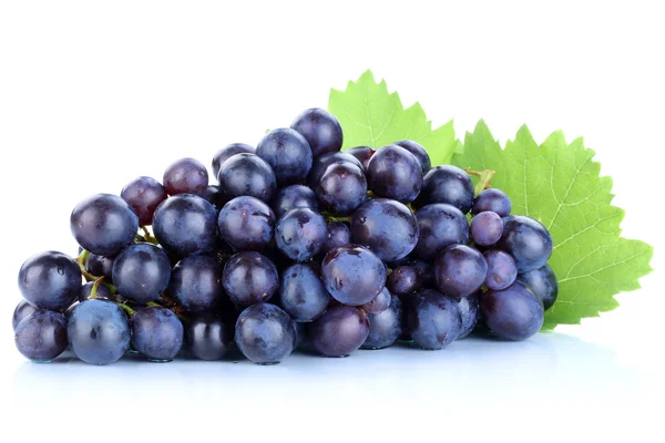 Grapes blue fresh fruits fruit isolated on white — Stock Photo, Image