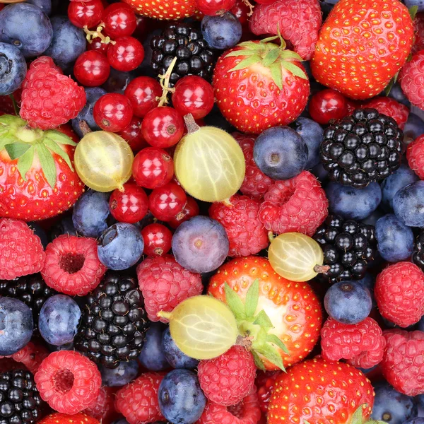 Bagas de frutos silvestres coleta de frutas morangos, mirtilos — Fotografia de Stock