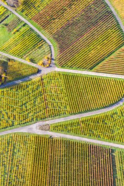 Üzüm bağları. Sonbahar mevsimi. Almanya 'da hava manzaralı fotoğraf formatı.