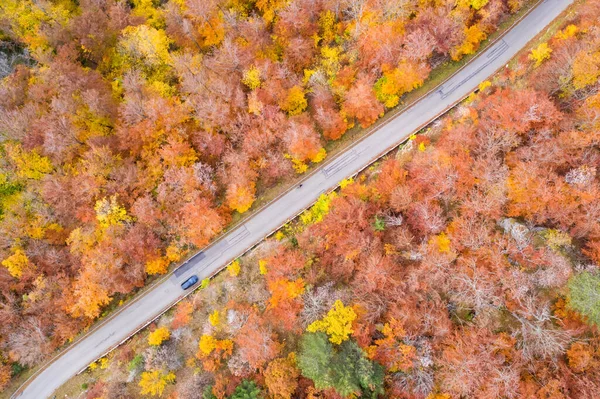 Otoño Otoño Bosque Bosque Hojas Coloridas Estación Aérea Vista Carretera —  Fotos de Stock