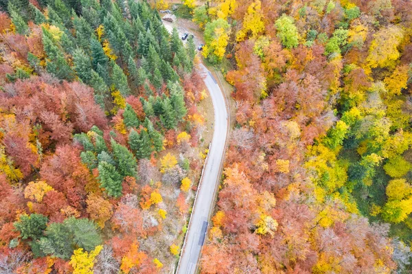 Herfst Herfst Bos Bos Kleurrijke Bladeren Seizoen Luchtfoto Uitzicht Weg — Stockfoto