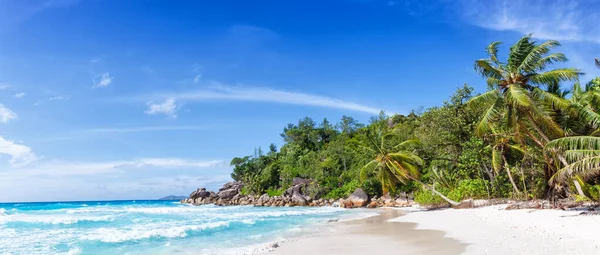 Seychelles Anse Georgette Beach Praslin Island Palm Panoramic View Vacation — Stock Photo, Image