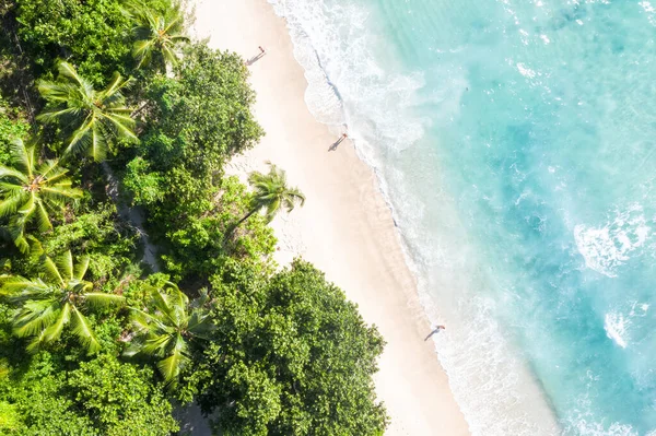 Seychelle Szigetek Takamaka Tengerparti Nyaralás Óceán Pálmák Drón Kilátás Légi — Stock Fotó