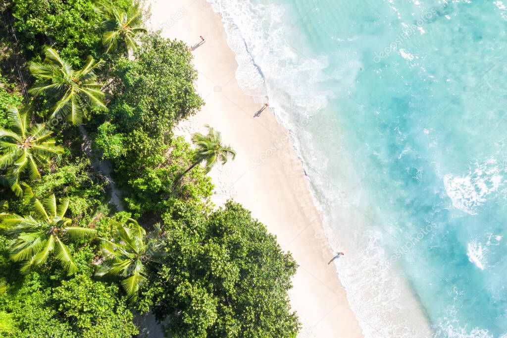 Seychelles Takamaka beach vacation ocean palms drone view aerial photo copyspace copy space