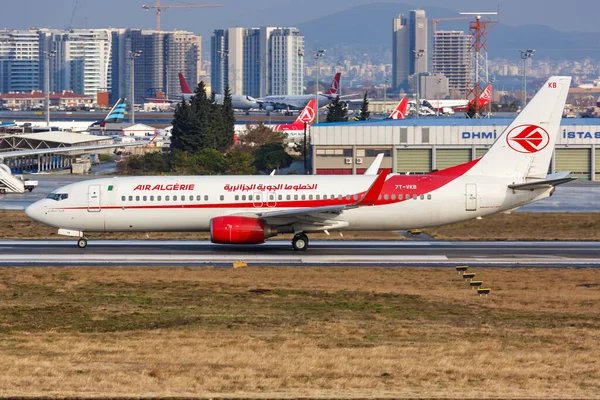 Stanbul Türkiye Şubat 2019 Air Cezayir Boeing 737 800 Uçağı — Stok fotoğraf