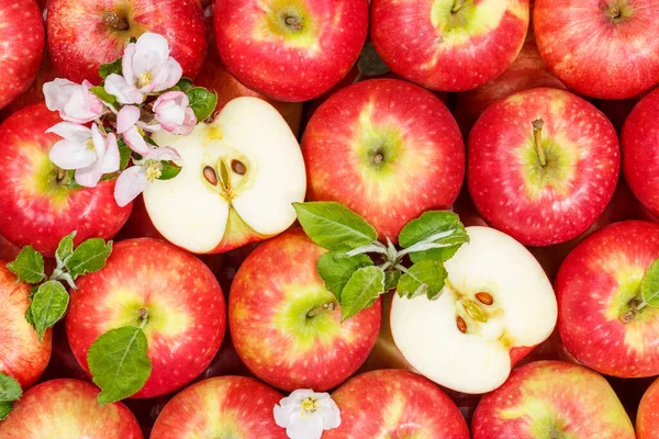 Manzanas Frutas Manzana Roja Fruta Fondo Con Hojas Flores Alimentos — Foto de Stock