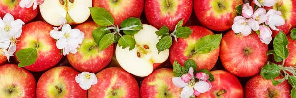 リンゴの葉と花の食べ物と赤いリンゴの果実の背景バナー — ストック写真