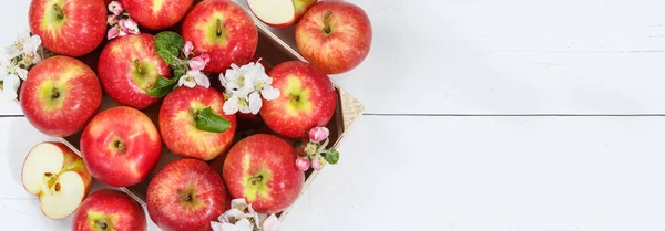 Manzanas Frutas Manzana Roja Caja Frutas Madera Banner Copyspace Espacio — Foto de Stock