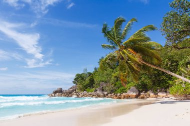 Praslin Adası 'ndaki Seyşeller Anse Georgette plajı Palm Tatil Turizmi