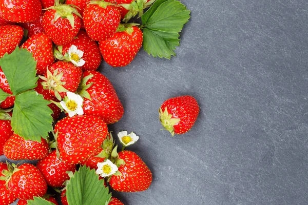 Fragole Frutti Fragole Frutta Fragola Copyspace Spazio Copia Spazio Cibo — Foto Stock