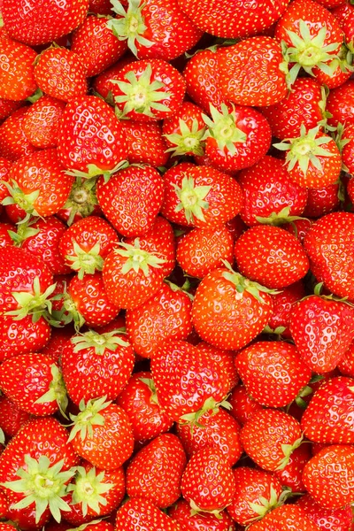 Morangos Bagas Frutas Morango Fruta Retrato Formato Fundo Alimentos — Fotografia de Stock