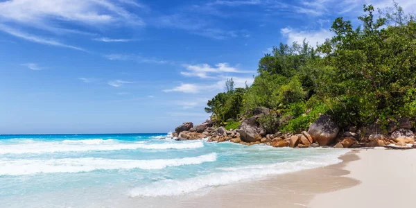 Seychelles Anse Georgette Beach Praslin Island Palm Panorama Panoramic View — Stock Photo, Image