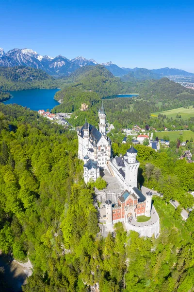 Schloss Neuschwanstein Castle Air View Architecture Alps Landscape Bavaria Germany — стокове фото