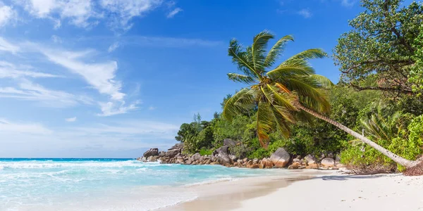 Seychelles Anse Georgette Beach Praslin Island Palm Panorama Panoramic View — Stock Photo, Image