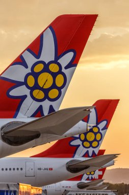 Zürih, İsviçre - 22 Temmuz 2020 Edelweiss Airbus A320 İsviçre 'deki Zürih Havaalanı' nda uçak kuyruğu.