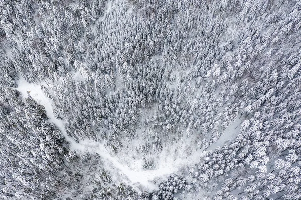 Inverno Árvores Neve Árvore Floresta Bosques Estação Fria Foto Aérea — Fotografia de Stock