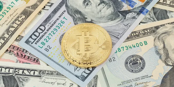 Bitcoin Crypto Valuta Fizet Online Fizetni Digitális Pénz Cryptocurrency Dollar — Stock Fotó