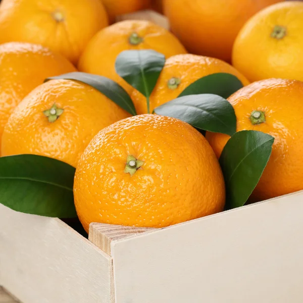 Orange fruits in a box with copyspace — Stock Photo, Image