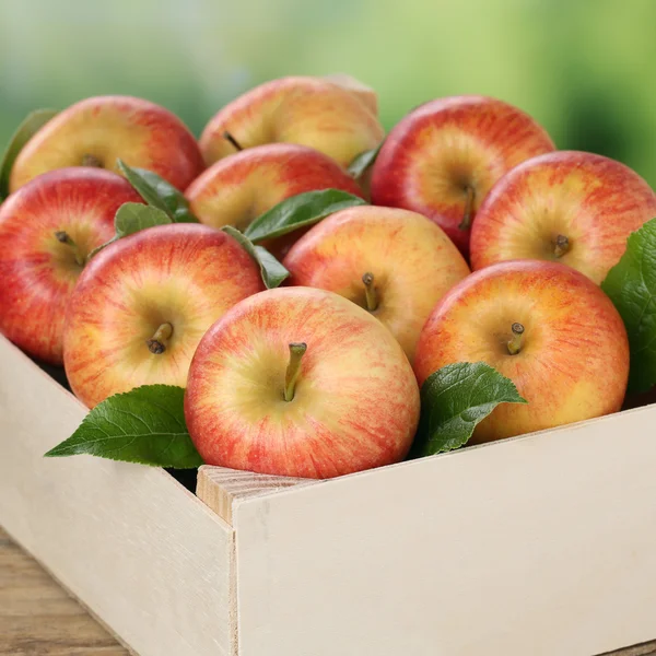 Jabłka w drewnianym pudełku podczas zbiorów w jesieni — Zdjęcie stockowe