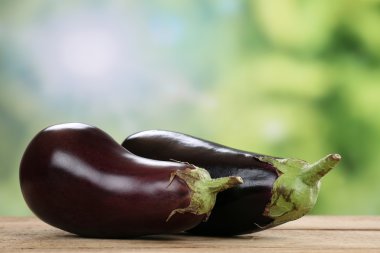 Eggplant in summer with copyspace clipart