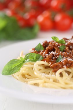 Fesleğenli erişte makarna spagetti Bolognese veya Bolognaise