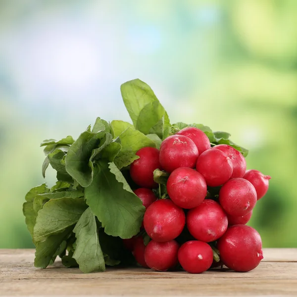 Red radish vegetables in summer — Stock Photo, Image