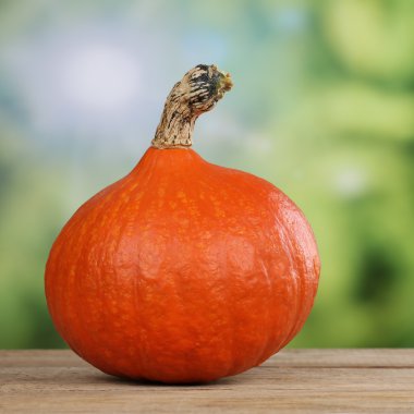 Yaz aylarında kabak sebze