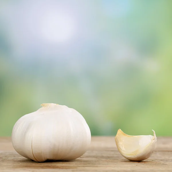 Stroužek česneku zeleniny v létě — Stock fotografie