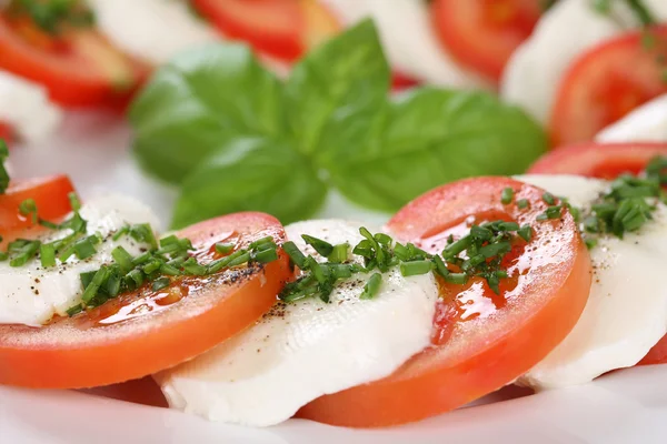 Caprese salad with tomatoes and mozzarella cheese — Stock Photo, Image