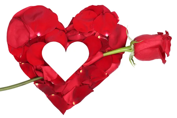 Heart from petals with red rose love topic on Valentine's and mo — Stock Photo, Image