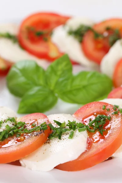 Ιταλική κουζίνα Caprese σαλάτα με ντομάτα και μοτσαρέλα Τυριά λιωμένα — Φωτογραφία Αρχείου