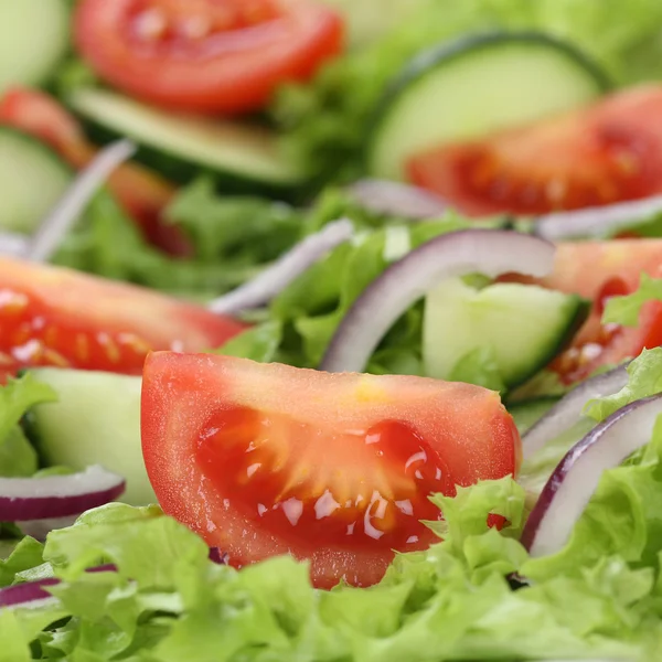 Grüner Salat mit Tomaten und Zwiebeln aus biologischem Anbau — Stockfoto