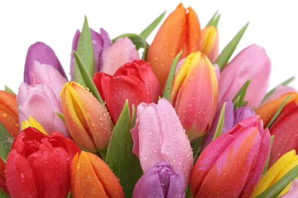 Tulips flowers bouquet in spring, birthday or mother's day isola — Stock Photo, Image