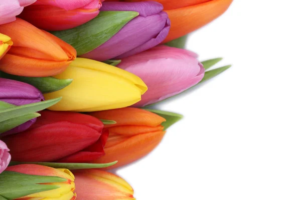 Fiori di tulipani in primavera o la festa della mamma con copyspace — Foto Stock