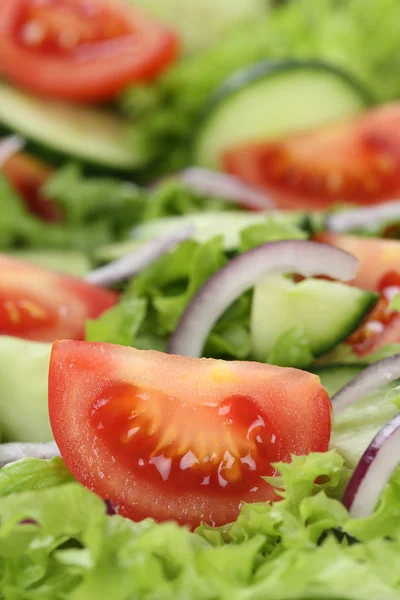 Grüner Salat mit Tomaten, Gurken, Zwiebeln und Copyspace — Stockfoto