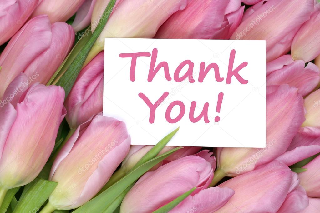 Thank You on greeting card gift with tulips flowers