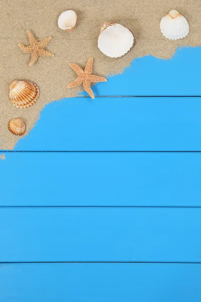 Snäckskal och stjärnor på stranden i sommar med copyspace — Stockfoto