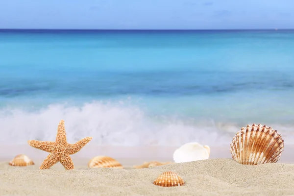 Beach background scene in summer on vacation with sea and copysp — Stock Photo, Image