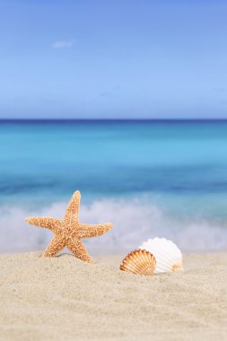 Yaz tatil tatil deniz plaj arka plan sahnede ve 