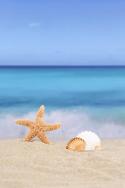 Strand Hintergrundszene in den Sommerferien mit Meer und — Stockfoto