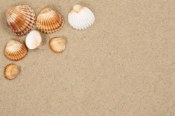 Escena de playa en vacaciones de verano con arena, conchas marinas y copyspac — Foto de Stock