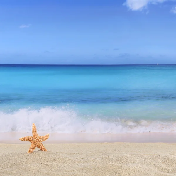 Strandhintergrund im Sommer im Urlaub mit Seestern und Copyspa — Stockfoto