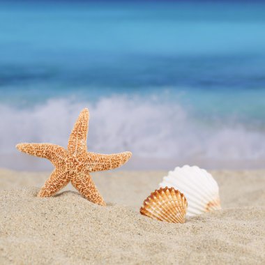 yaz tatil deniz ve boşaltmak ile plaj sahnesinde
