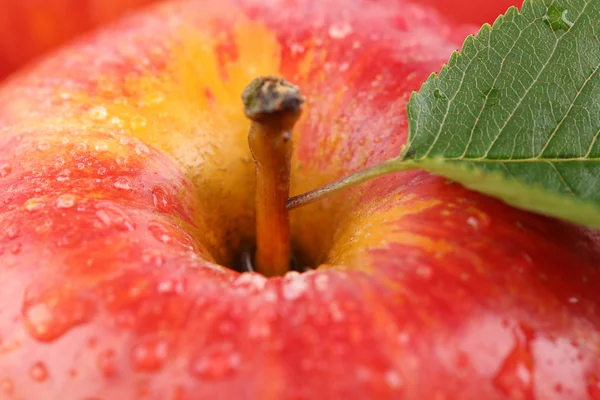 Nahaufnahme rote Apfelfrucht mit Blatt — Stockfoto