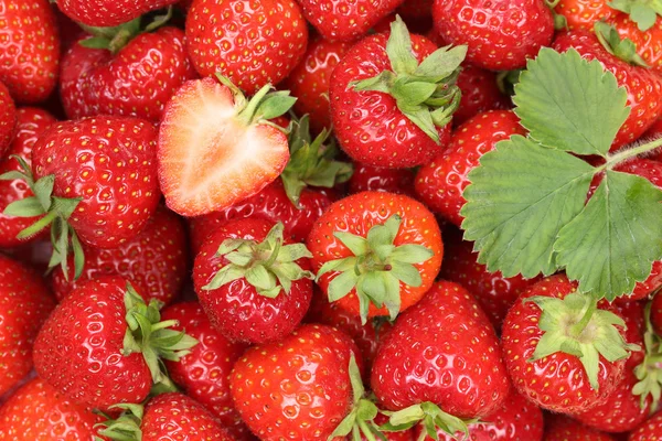 Fresas bayas frutas fondo — Foto de Stock